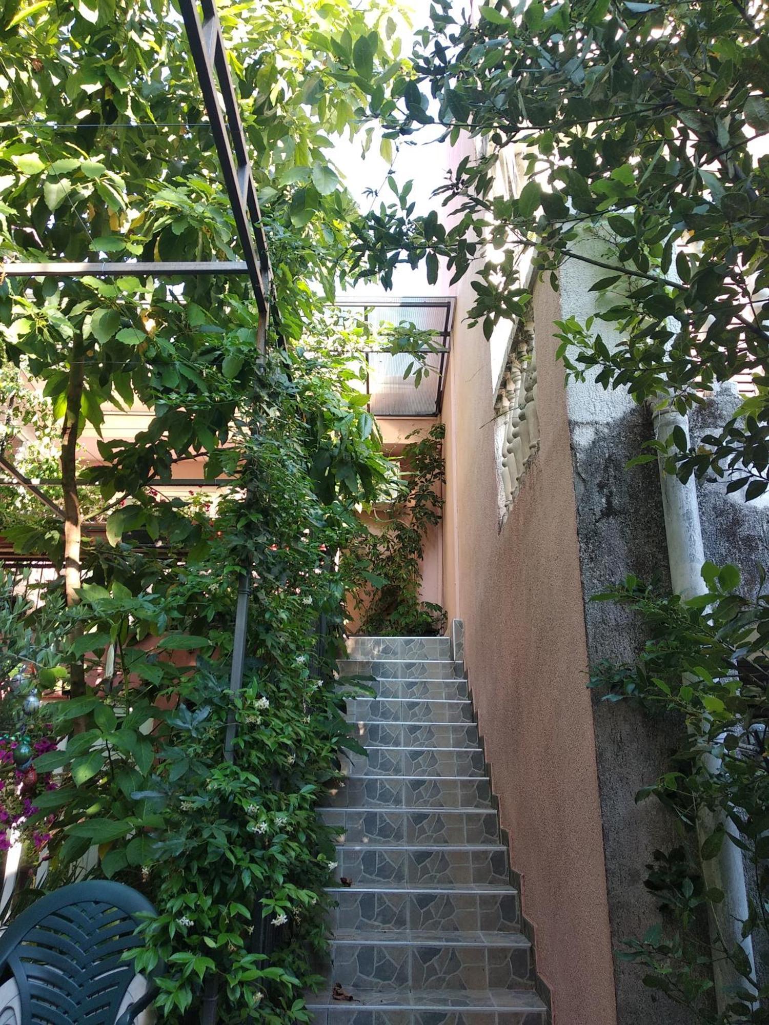 Villa Stanivukovic Budva Exterior foto